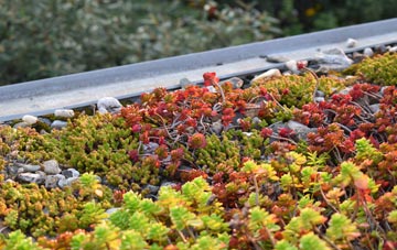 the cost of Long Street green roof installation