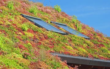 Long Street living roof systems